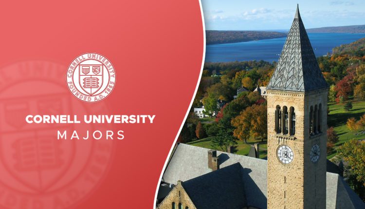 cornell majors