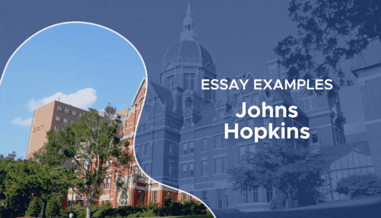 johns hopkins essays that worked