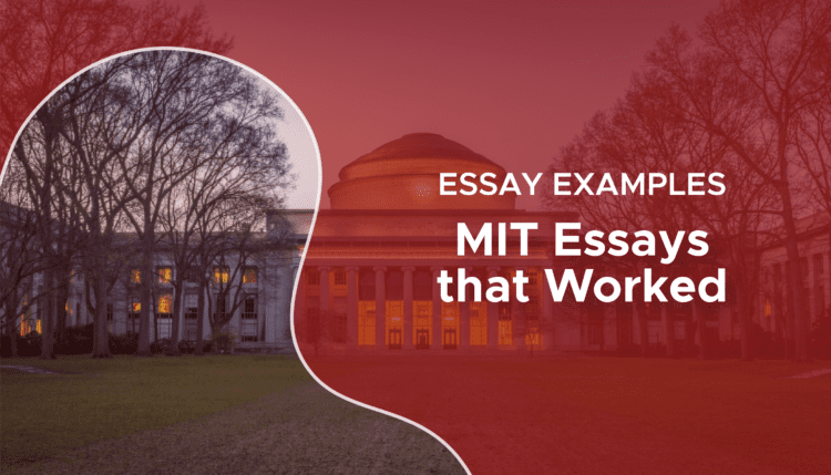 MIT Essays that Worked